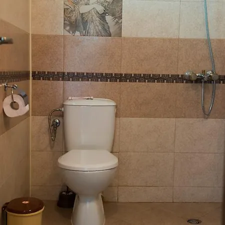 شقة فندقية Center *